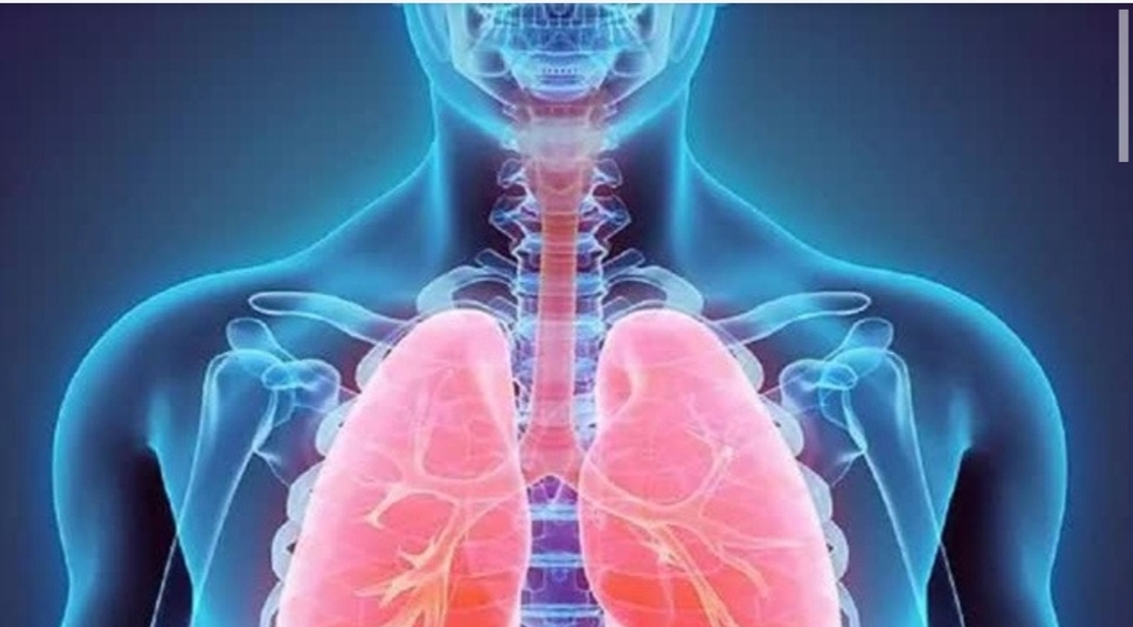 Chăm sóc phổi đúng cách trong mùa dịch COVID- 19