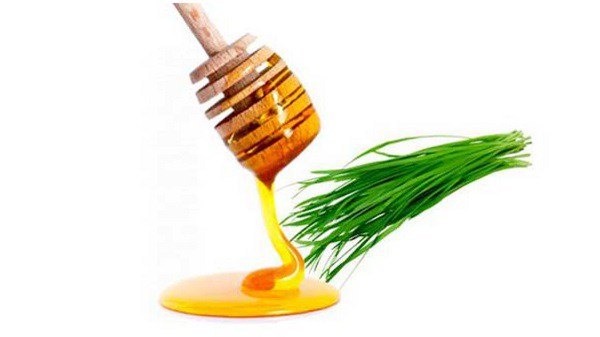 Loại rau có nhiều kháng sinh giúp trị ho, viêm họng cực tốt nhưng người Việt ít dùng