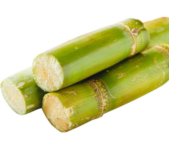 Bài thuốc đơn giản, dễ làm trị ho, tiêu đờm, bổ phổi cho người bệnh COVID-19