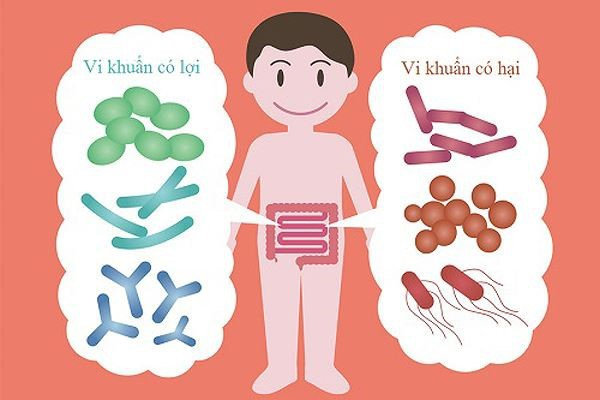 Thức ăn ảnh hường đến đường ruột như thế nào