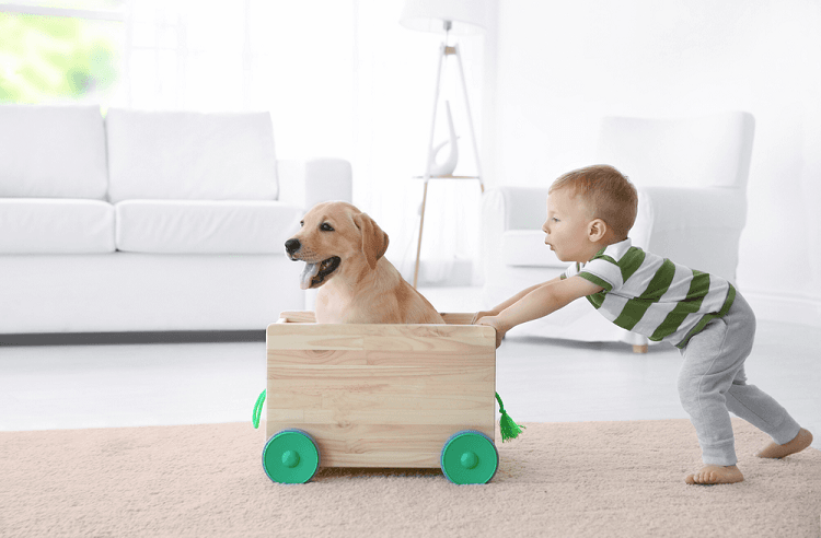 5 việc cần làm để phòng bệnh tay chân miệng ở trẻ khi giao mùa