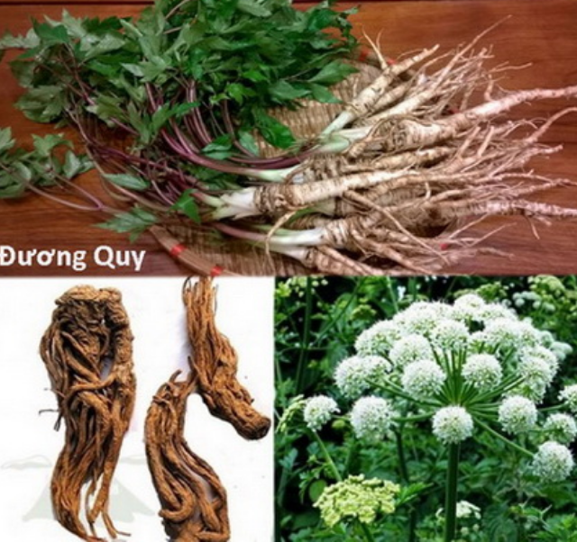 Thảo mộc hỗ trợ điều trị trầm cảm