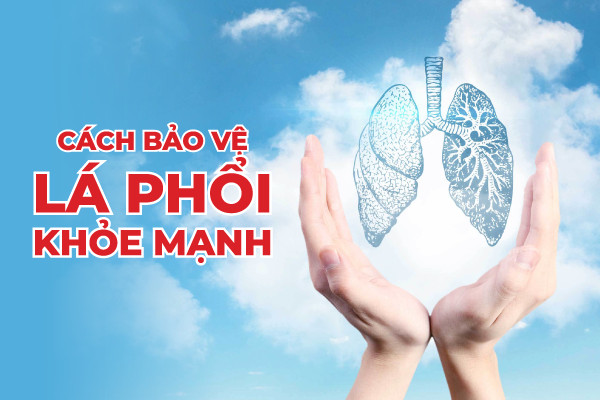 Cách bảo vệ lá phổi của bạn luôn khỏe mạnh