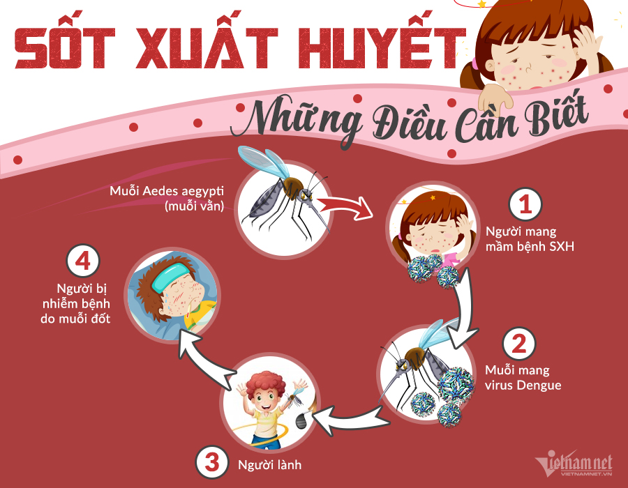 Trường mầm non Thành Công tuyên truyền cách phòng, chống bệnh sốt xuất huyết