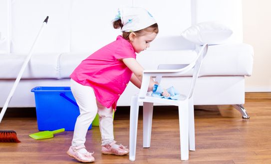 Cách diệt ve chó trong nhà đơn giản