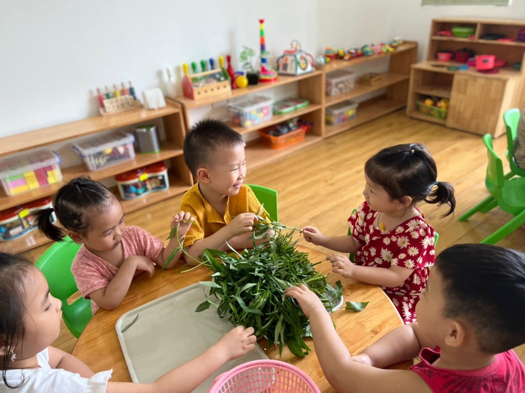 Bé học kỹ năng sống: Tập nhặt rau