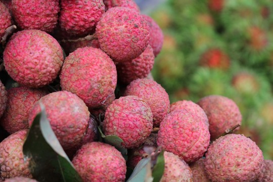 8 tác dụng nổi bật của quả vải