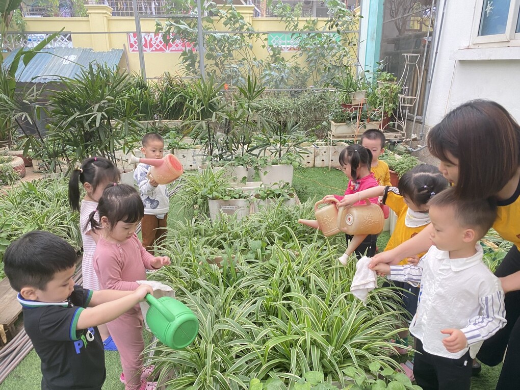 Hoạt động bé với thiên nhiên của các bạn nhà trẻ D2 Trường Mầm non Thành Công
