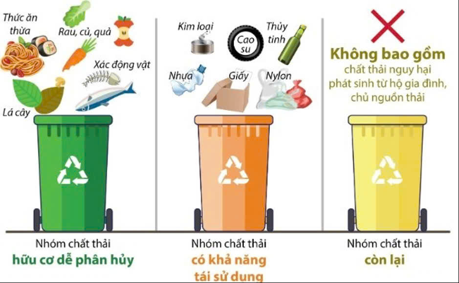 Phân loại rác thải tại nguồn – hành động nhỏ ý nghĩa lớn