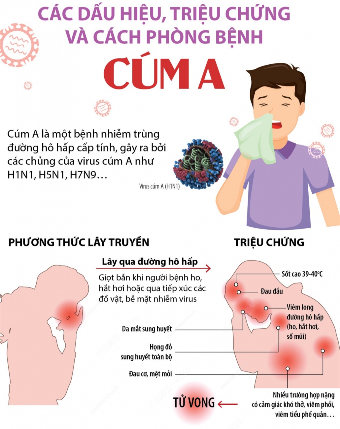 Bệnh cúm A và cách phòng tránh