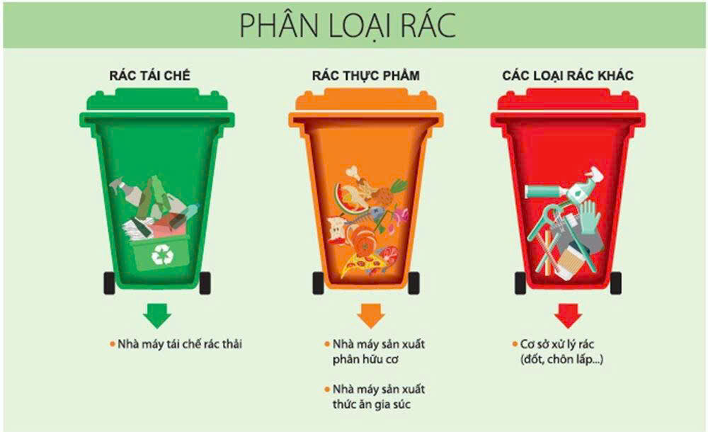 Phân loại rác thế nào để không bị xử phạt?