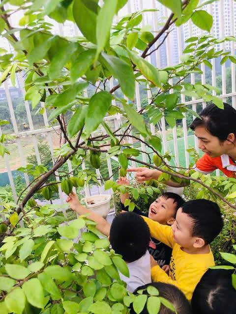 Tác Dụng Của Việc Cho Trẻ Tiếp Xúc Với Môi Trường Ngoài Trời: Cơ Hội Vàng Cho Sự Phát Triển Toàn Diện