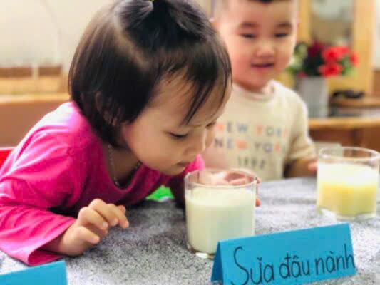 Tác Dụng Của Việc Uống Sữa Hạt Đối Với Trẻ Mầm Non: Lựa Chọn Dinh Dưỡng Lành Mạnh Cho Bé