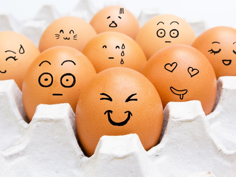 Dạy trẻ quản lý cảm xúc – Mạnh mẽ đối mặt với mọi tình huống