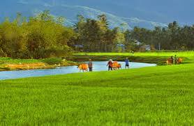 THƠ: “QUÊ HƯƠNG”