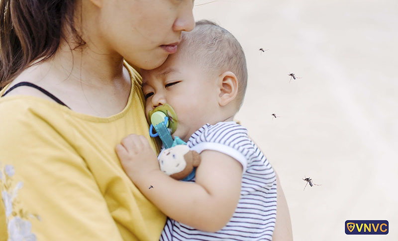 https://ad-mnthanhcong.badinh.edu.vn/UploadFinder/images/duong-lay-truyen-benh-viem-nao-virus.jpg