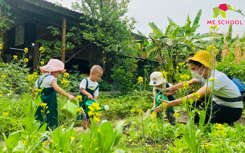 5 lĩnh vực phát triển của trẻ mầm non