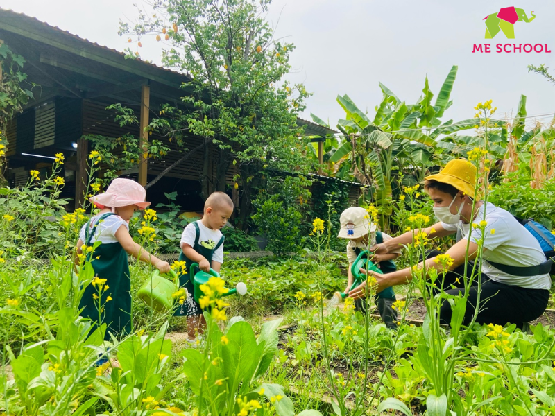 các bài tập thể chất cho trẻ 3 4 tuổi