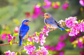 https://8486d3381d.vws.vegacdn.vn/UploadFolderNew/SGDLongBien/Image/mnducgiang/admin/xxxx.jpg?w=900?w=800