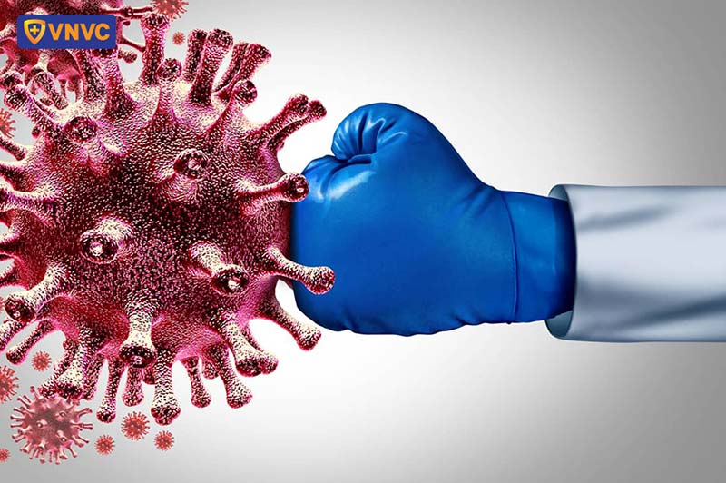 hệ miễn dịch chống lại virus