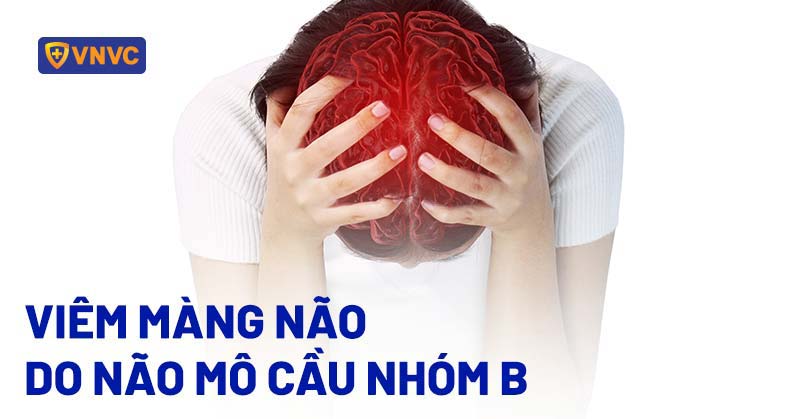 viêm màng não do não mô cầu nhóm b