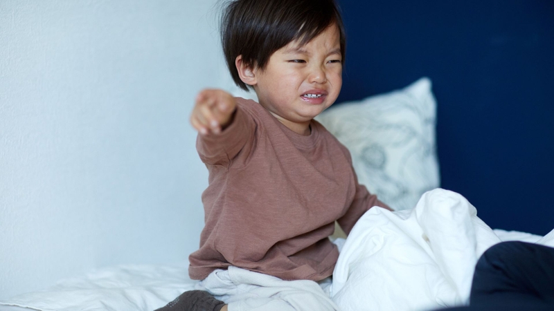 Khủng hoảng tuổi lên 3 ở trẻ và những điều ba mẹ cần biết1