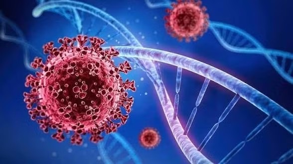 Nội dung chú thích ảnh